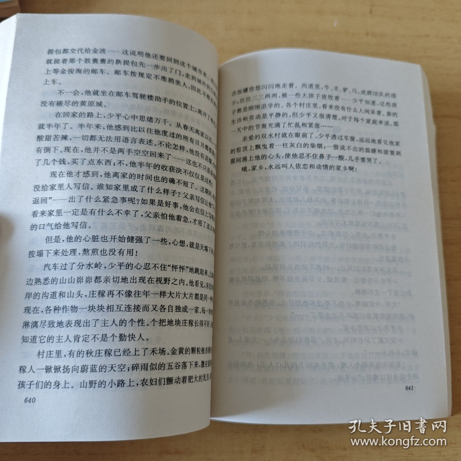 平凡的世界（中）