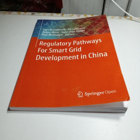 Regulatory Pathways For Smart Grid Development in China中国智能电网发展的监管路径