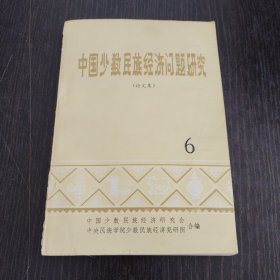 中国少数民族经济问题研究6