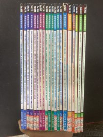 游戏机实用技术 2008年 全年1-24期（2、5、6、7、8、9、10、11、12、13、14、15、16、17、18、19、20、21、22、23、24期总第194-216期）共20本合售 5张海报、3本游戏城寨、1张光盘 杂志