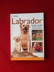 Labrador (Collins Dog Owner's Guide)[拉布拉多(柯林斯狗狗指南)] 32开