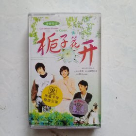 磁带 栀子花开