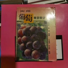 实用葡萄栽培图诀400例（未阅藏书）