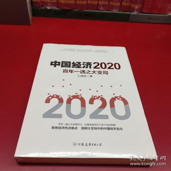 中国经济2020