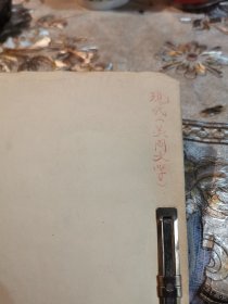 现代美国文学 看图片