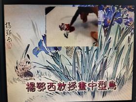 张大千弟子 著名女国画家杨鄂西教学（原版）视频光盘DVD（亲笔签名） 中型鸟