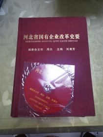 河北省國有企業(yè)改革史要（帶光盤）