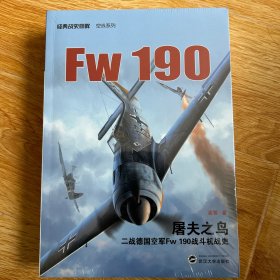 屠夫之鸟：二战德国空军Fw 190 战斗机战史