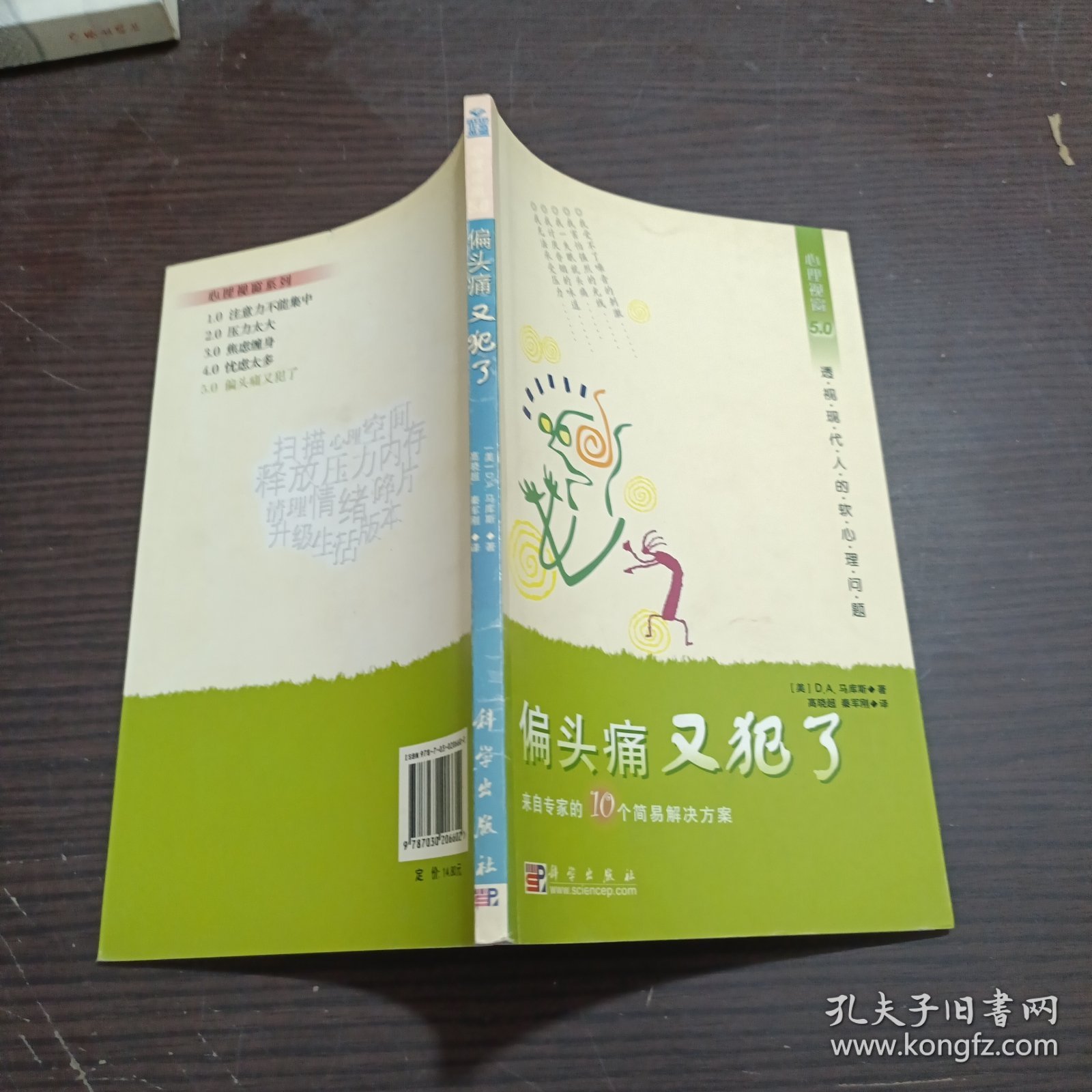 偏头痛又犯了：来自专家的10个简易解决方案（心理视窗5.0）