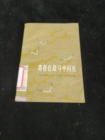 青春在战斗中闪光