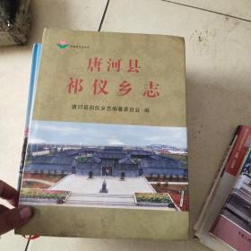 唐河县祁仪乡志