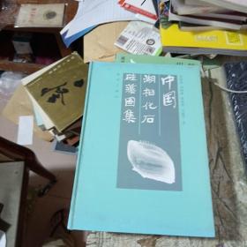 中国湖相化石硅藻图集（作者签赠本）