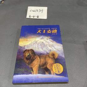 动物小说大王沈石溪·经典书系：犬王麦穗