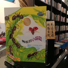 勇敢的小蚂蚁