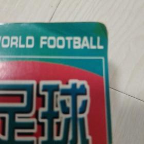 世界足球档案手册