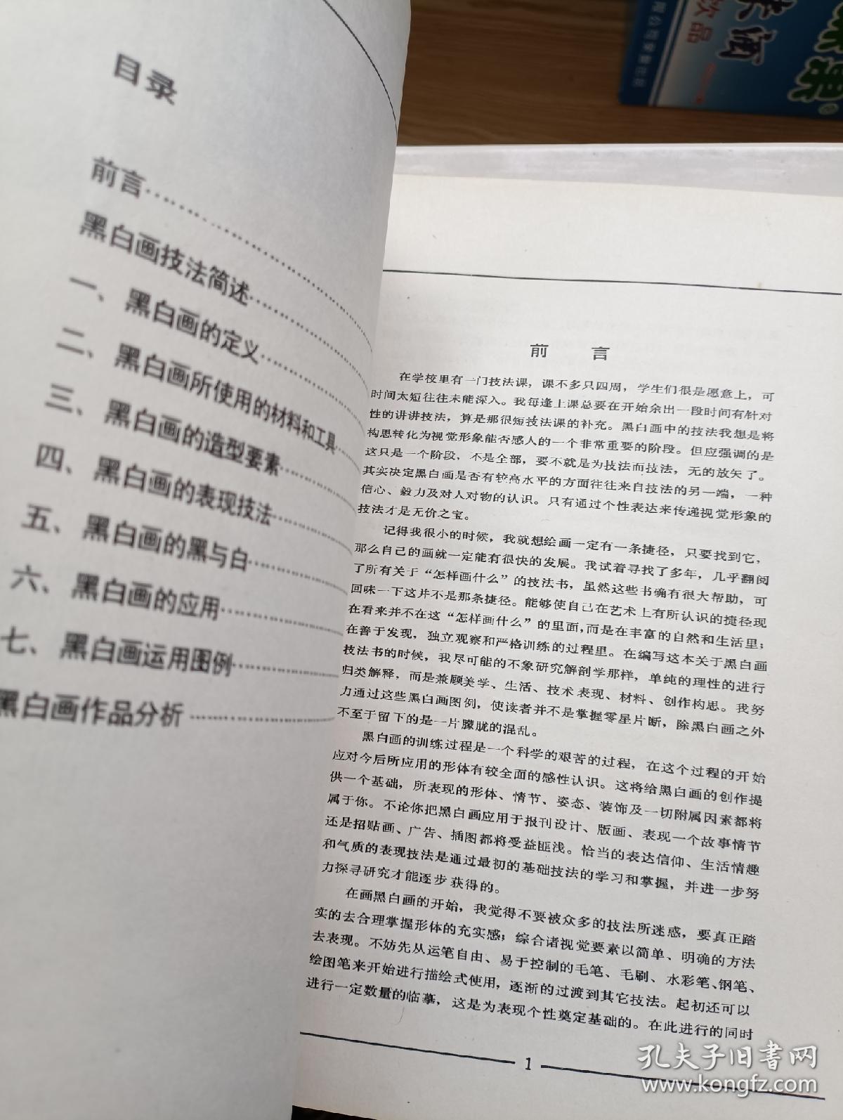 美术技法大全 黑白画技法