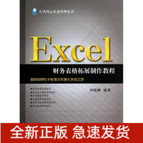 Excel财务表格拓展制作教程/行者风云企业管理丛书