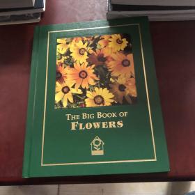 THE BIG BOOK OF FLOWERS