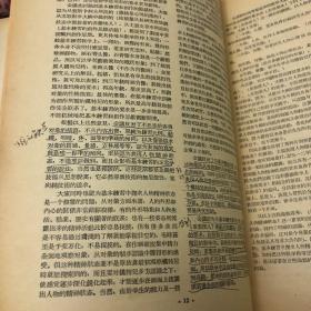 美术杂志：1955年12月号