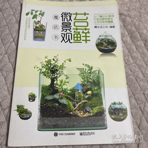 苔藓微景观魔法书【魔法DIY打造苔藓微景观，让您成就感爆棚】