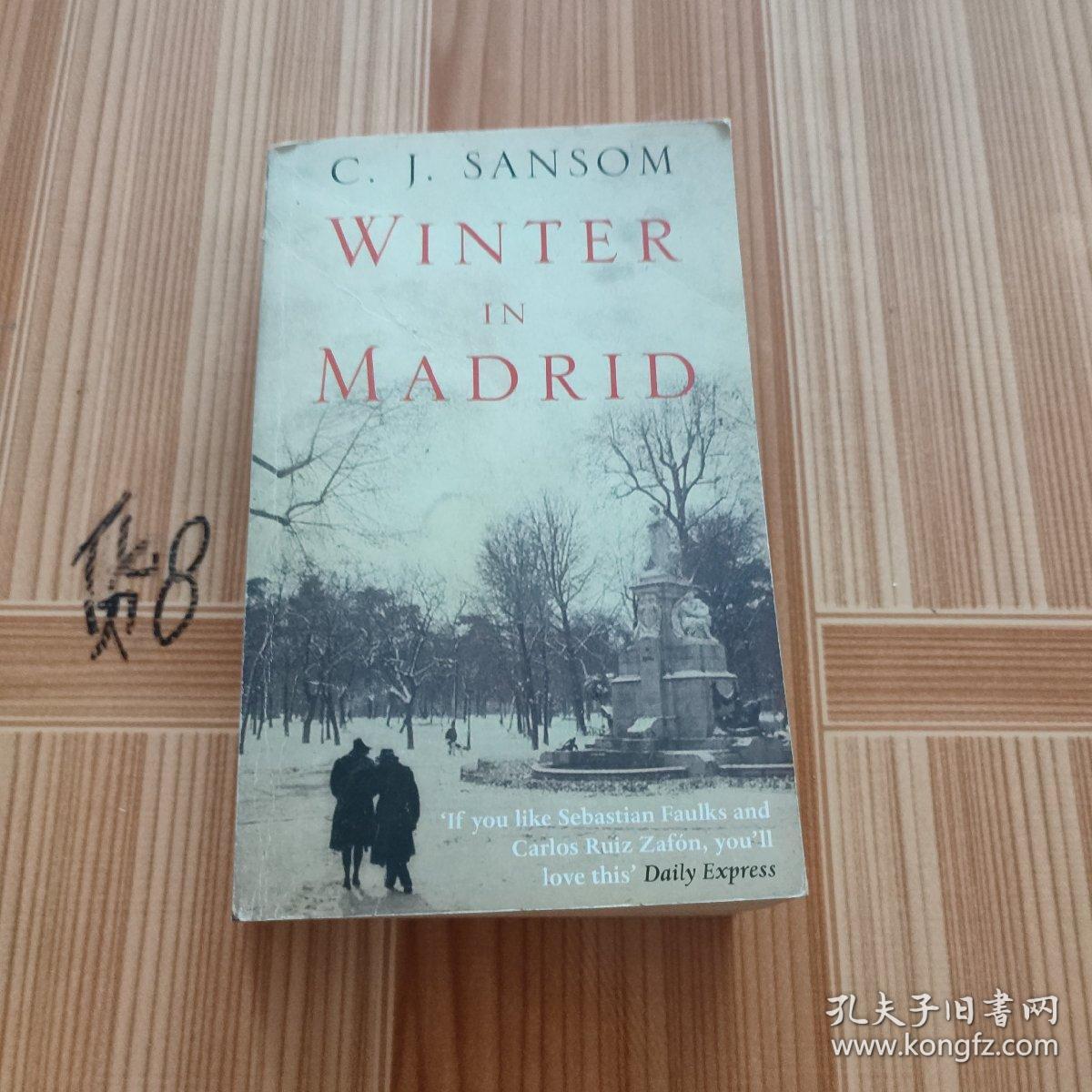 Winter in Madrid