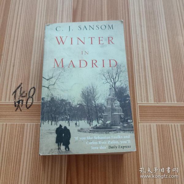 Winter in Madrid