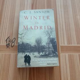 Winter in Madrid