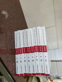 中国少数民族文化史图典(全8册)