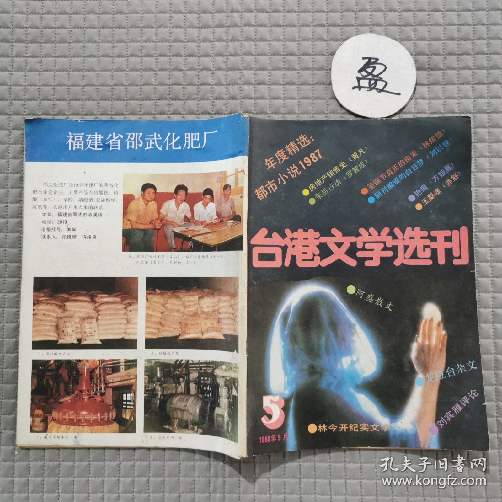 台港文学选刊1988.5