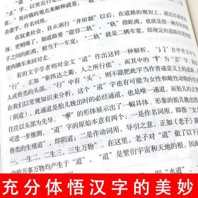 正版图解说文解字古代汉语说文解字注认知语言学象形文字汉语史稿汉字的演变语言与文化中国字中国语言学史分析字形字源的文学著作