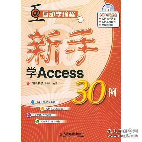 新手学Access30例