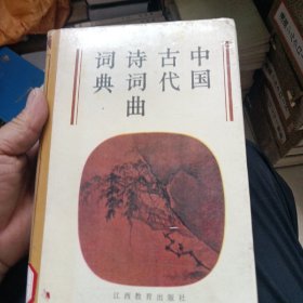 中国古代诗词曲词典