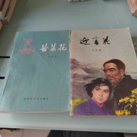 苦菜花、迎春花