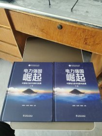 电力强国崛起——中国电力技术创新与发展 上下册