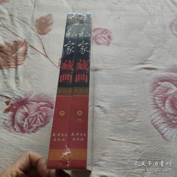 私家藏画彩图版全2册16开精装四色彩印 历代名画收藏鉴赏