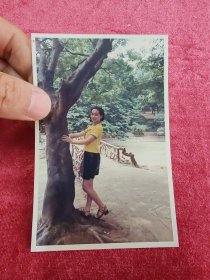 短裙抱树美女老照片八十年代九十年代彩色相片像片