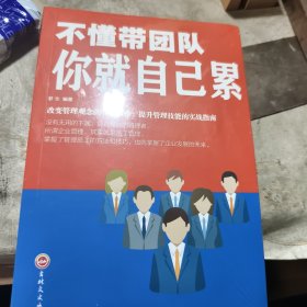 不懂带团队你就自己累 全新A边区