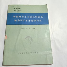 矿床专著 黑色金属矿产 新疆维吾尔自治区哈密县磁海铁矿矿床地质特征