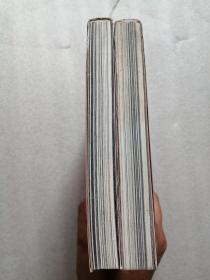 意匠文字：龙、凤卷