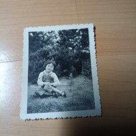 老照片–可爱小女孩坐在草地上留影