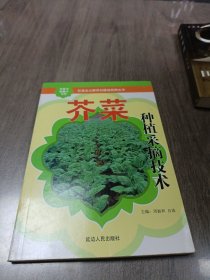 芥菜种植采摘技术