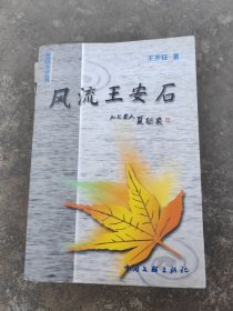 風(fēng)流王安石
