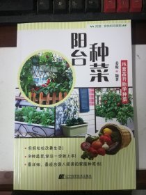 阳台种菜