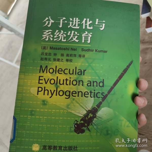 分子进化与系统发育