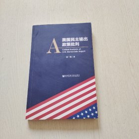 美国民主输出政策批判