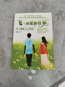 飞一般爱情往事