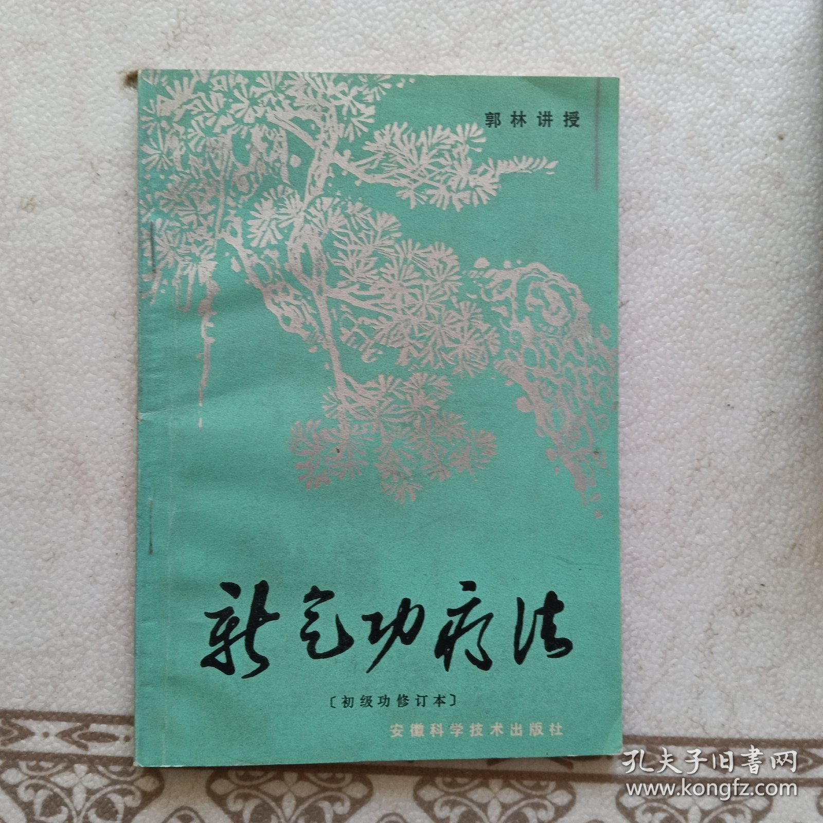 新气功疗法（初级功修订本）