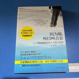 因为痛，所以叫青春：写给独自站在人生路口的你