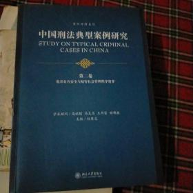 中国刑法典型案例研究（第2卷）：危害公共安全与妨害社会管理秩序犯罪