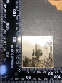 民国江苏如皋城外拍摄老照片